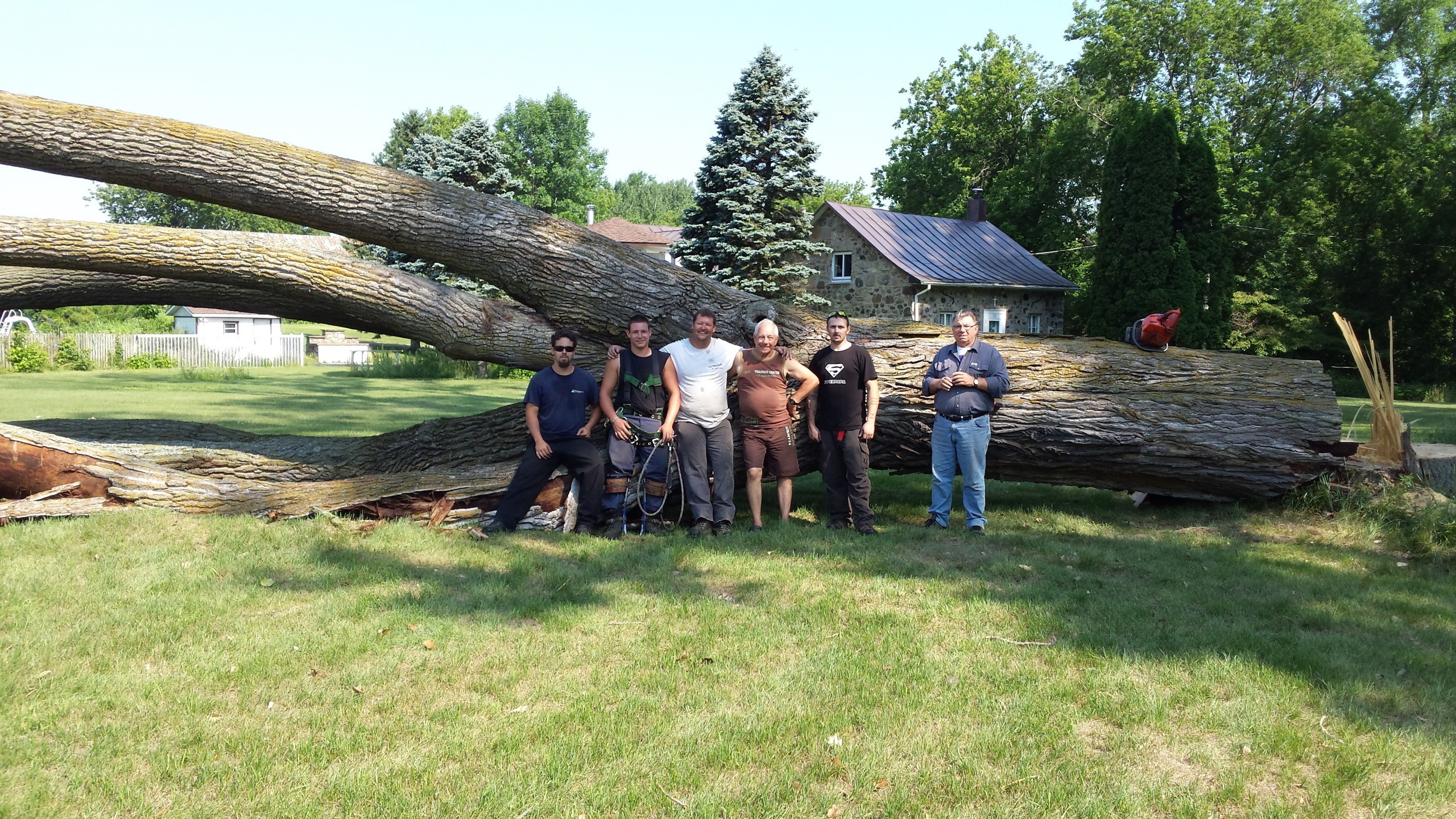 Service émondage, élagage, essouchage, déboisement, plantation et abattage d'arbre à Saint-Laurent et ses environs - Service d'Arbres Stéphane