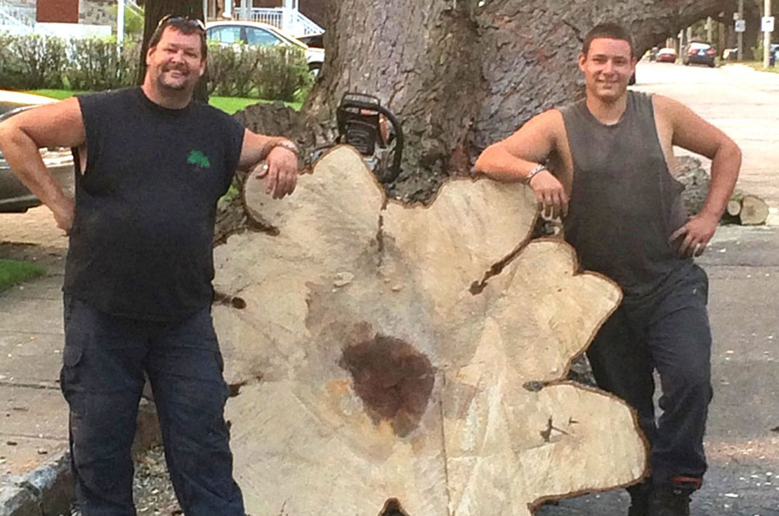 Entreprise abattage d'arbre, émondage, élagage, essouchage, déboisement et de déchiquetage de branche à Montréal, Laval, Terrebonne, Repentigny, Rive-Nord et Lanaudière - Services d'Arbres Stéphane 