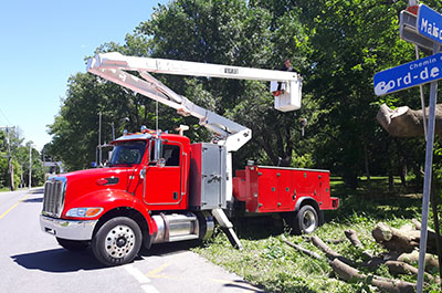 Entreprise abattage d'arbre, émondage, élagage, essouchage, déboisement et de déchiquetage de branche à Montréal, Laval, Terrebonne, Repentigny, Rive-Nord et Lanaudière - Services d'Arbres Stéphane 