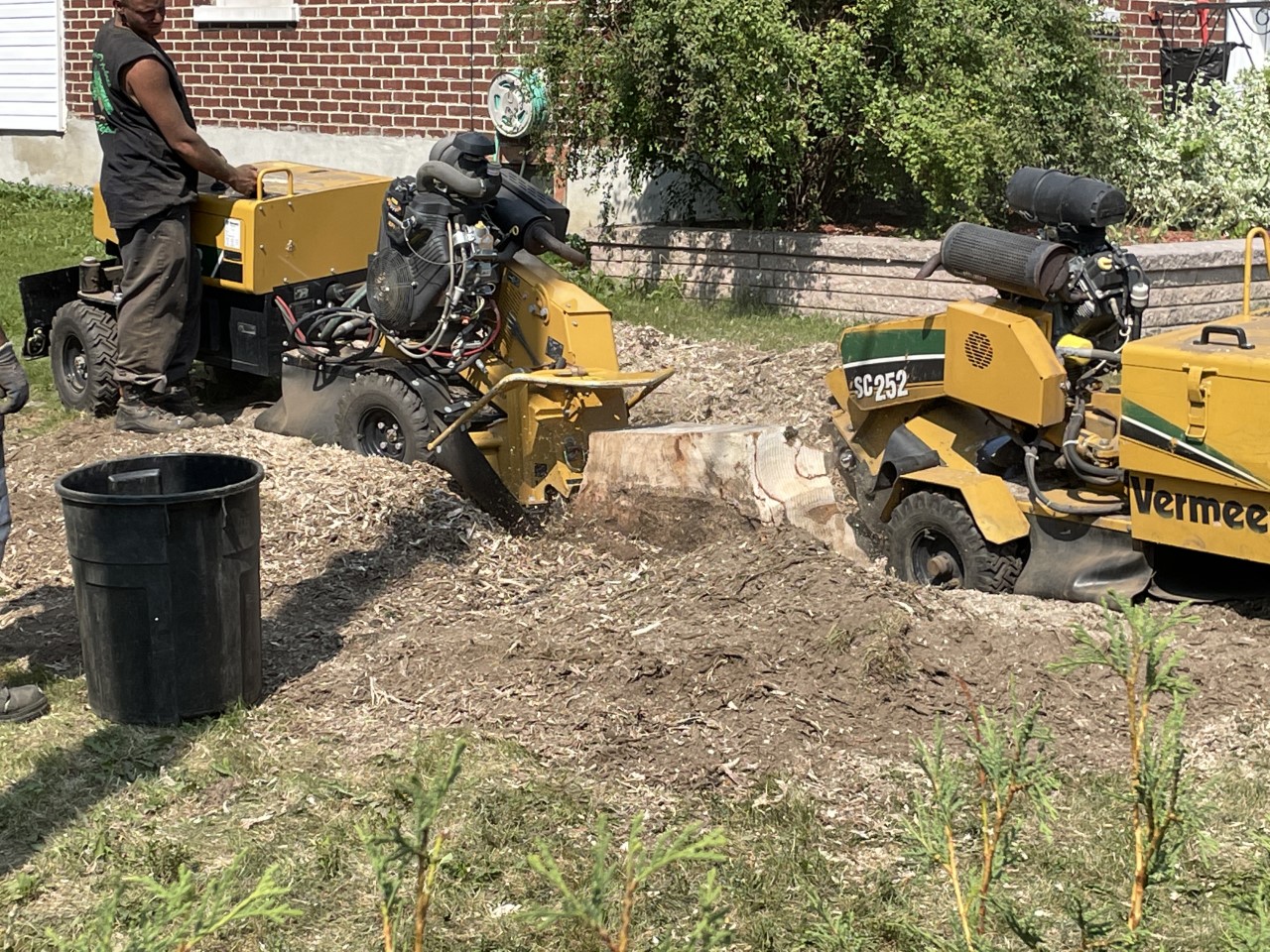 Service essouchage et essouchage d'arbres et de haie de cèdres ou arbuste à Saint-Laurent et ses environs - Service d'Arbres Stéphane