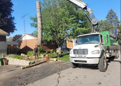 Grue qui enlève un arbre - Service essouchement à Montréal - Service arbres Stephane