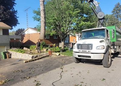 Grue qui soulève un arbre - Service abattage arbre à Montréal - Service arbres Stephane