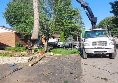 Grue qui soulève un arbre - Service abattage arbre à Montréal et ses environs - Service arbres Stephane