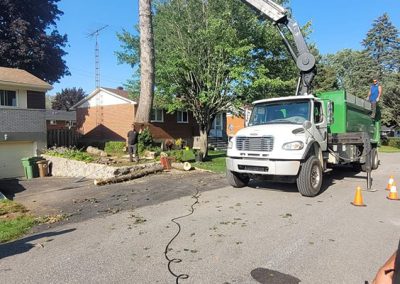 Grue qui soulève un arbre abbatu - Service abattage arbre à Montréal - Service arbres Stephane