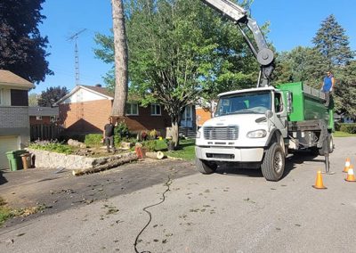 Service abattage arbre dans la région de Laval et les alentours - Service Arbres Stephane