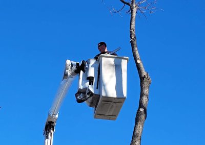 Stéphane dans la nacelle en hauteur - Service élageage arbre à Montréal - Service arbre Stéphane