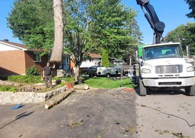 Abattage arbre service à Laval et ses environs - Service Arbre Stephane